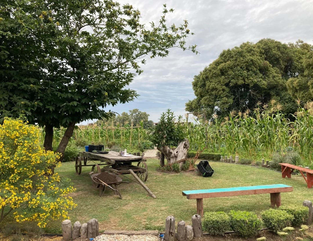 La huerta del espacio