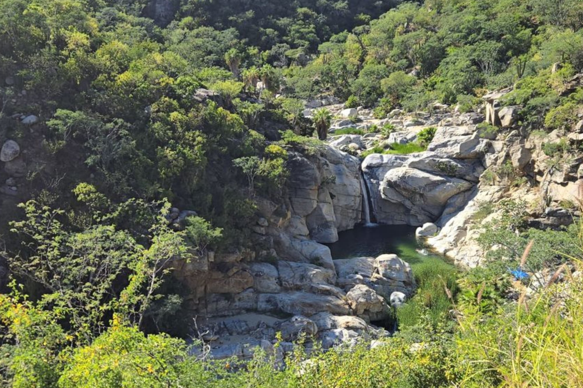 La famosa cascada dentro del oasis