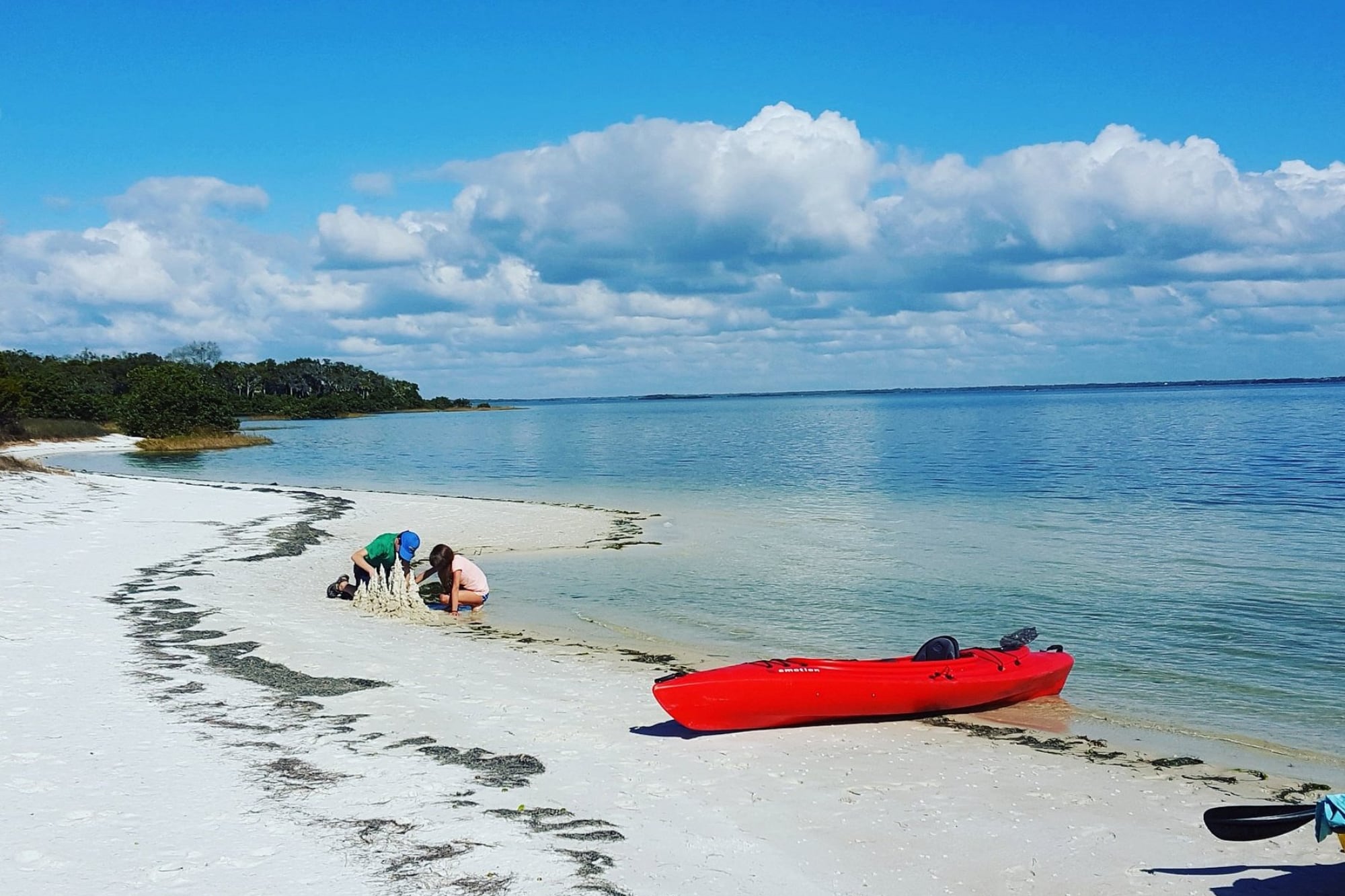Navegar en kayak es la mejor forma de descubrir el santuario marino y sus aves migratorias