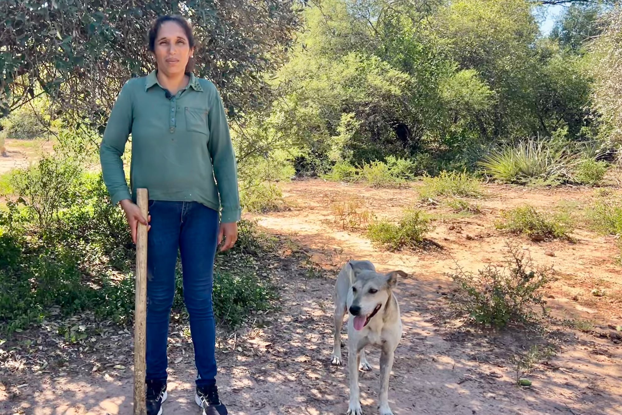“El conejo nos salva”. Sale todos los días a cazar para que sus hijos no se acuesten con hambre
