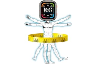 La ilusión de una vida perfectamente ajustada