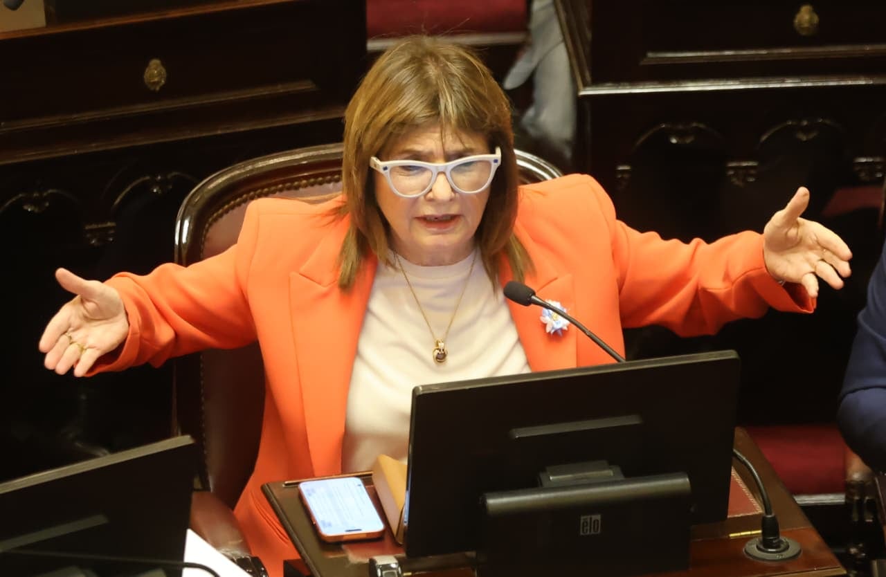 Qué funciones ofrecen los anteojos Ray-Ban que usó Patricia Bullrich en la sesión del Senado