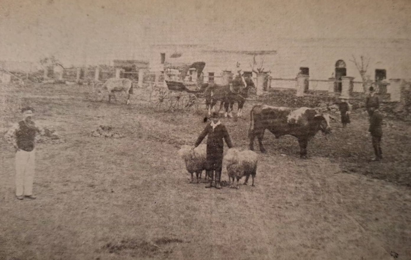 Con esfuerzo, Aguerre pasó de alquilar un campo fuera de la frontera a comprar primero Santa Isabel y luego Cruz de Guerra, dos establecimientos que marcaron el inicio de la expansión familiar donde criaba ovejas y el ganado criollo