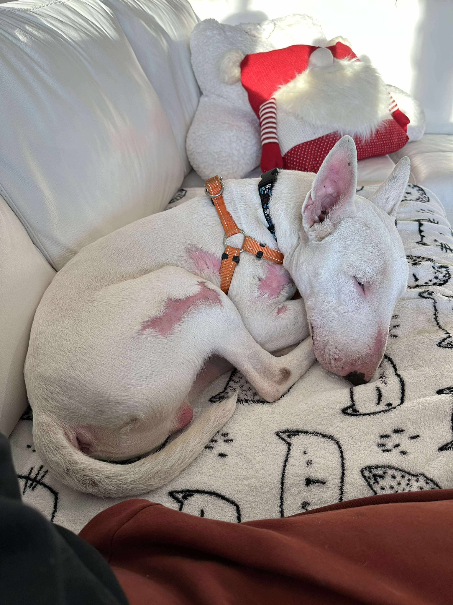 La noche del rescate, Maxwell descansó en paz por primera vez luego de mucho tiempo.