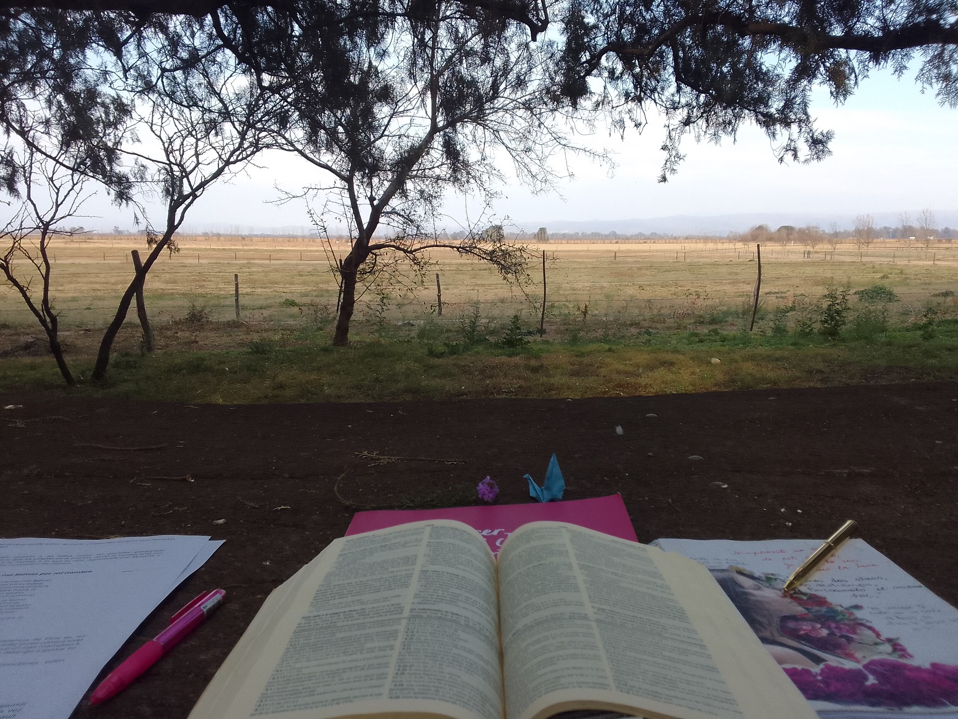 “Llegué a armar el bolso y querer irme. Pero esa noche, sin celular ni Netflix, me di cuenta de que si volvía a mi rutina, todo iba a seguir igual