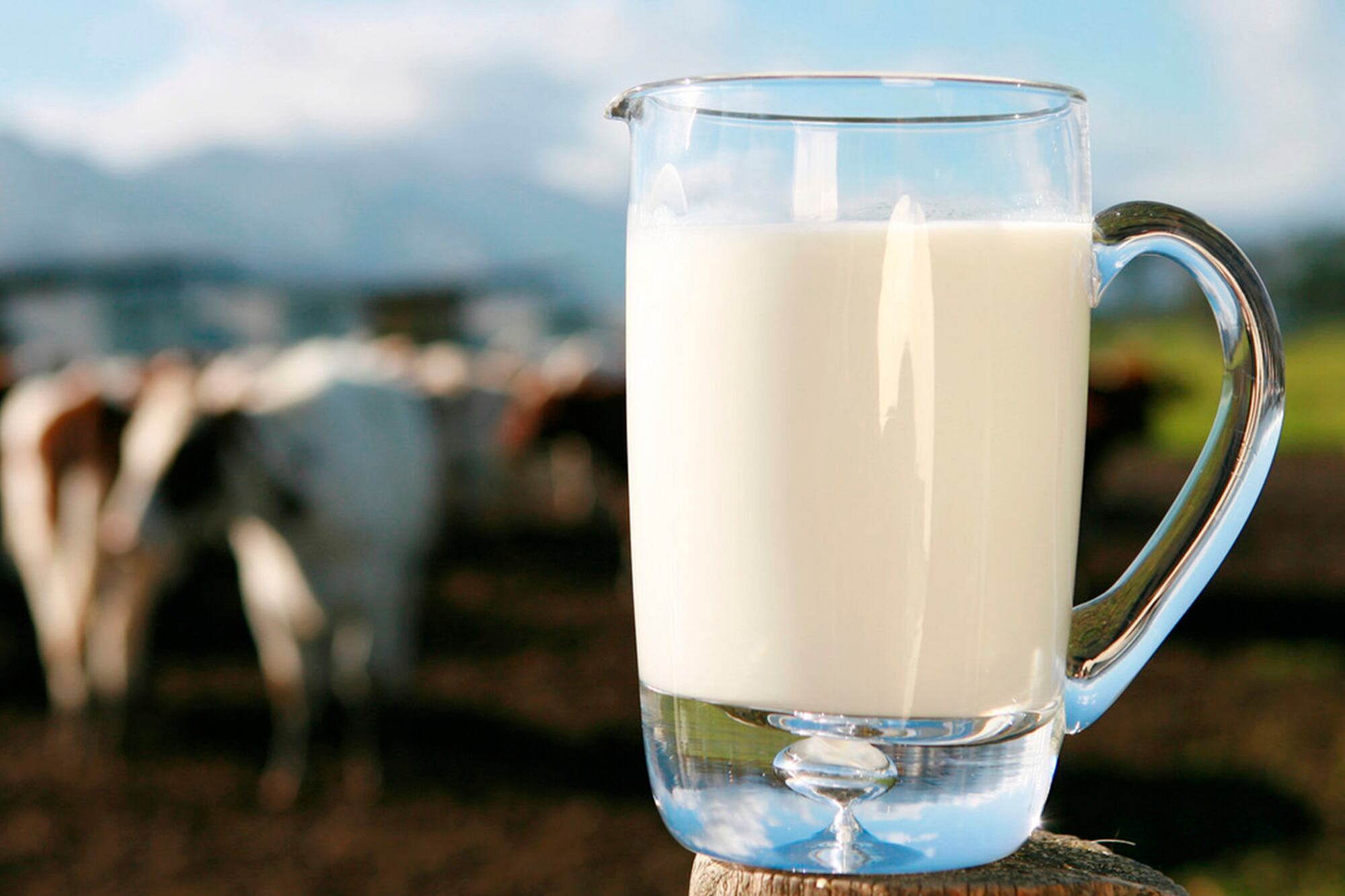 La leche, un alimento vital para la longevidad
