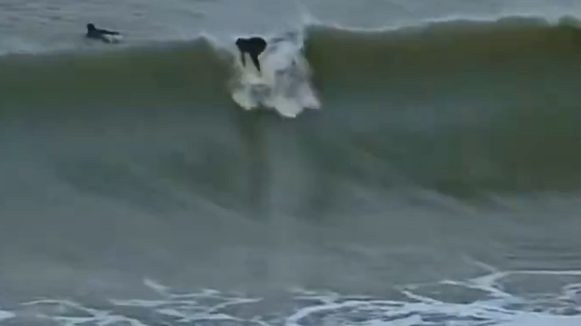Surfistas desafiaron olas de hasta seis metros en medio del temporal