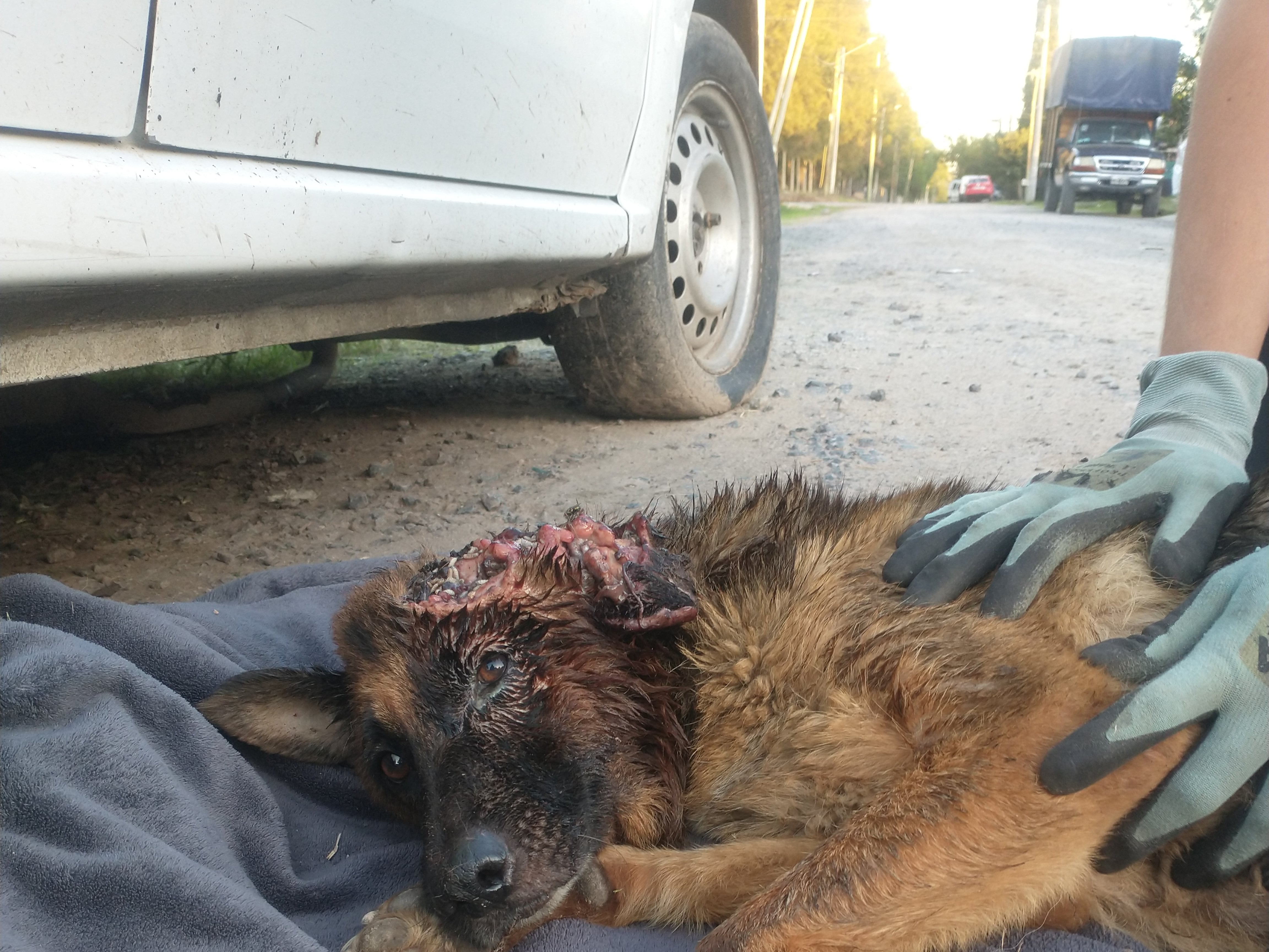 La imagen era desgarradora.