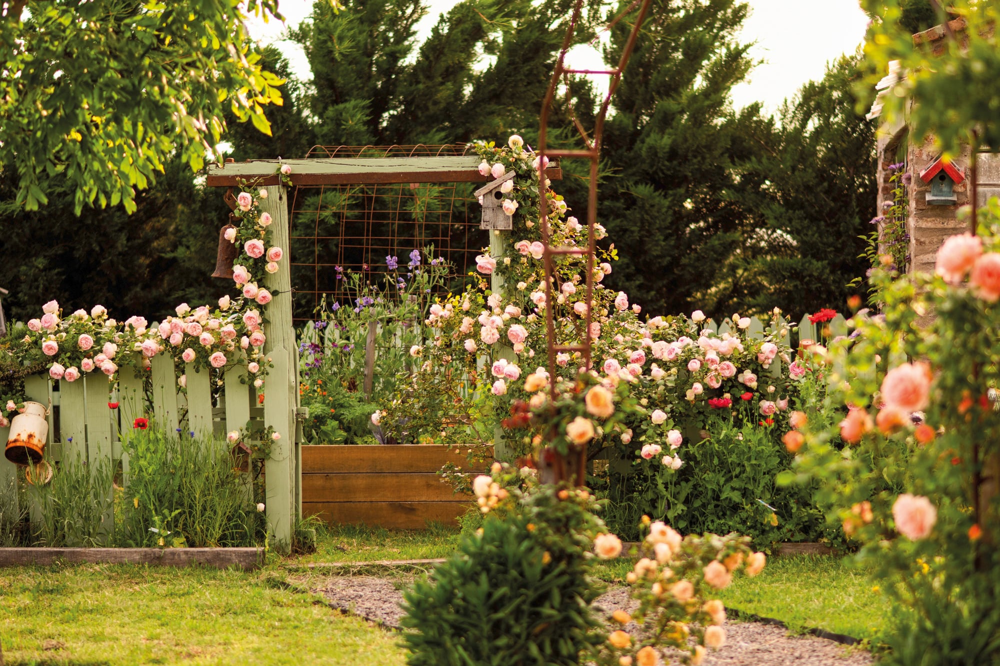 El jardín es teoría y práctica, es ficción y realidad. Es estudio y escenario para sus fotos, pero también para sus flores