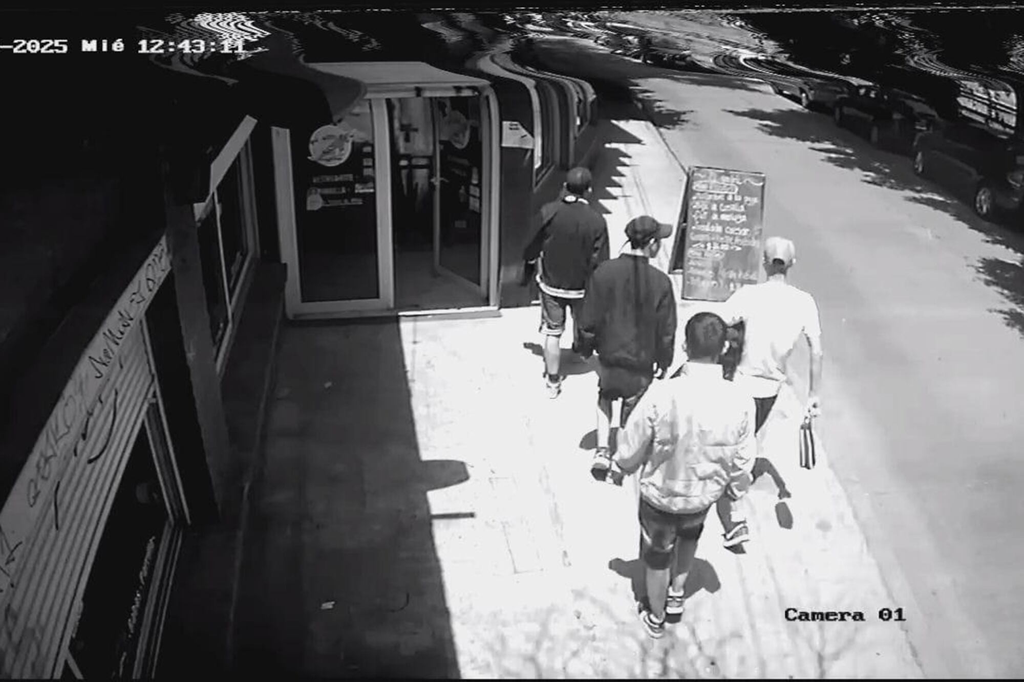 El grupo de ladrones que ingresó en la casa de Valeria Mazza