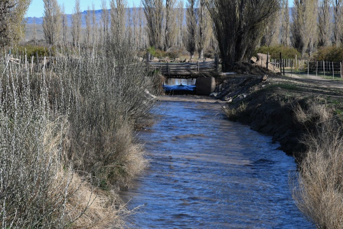 Primero se abre el canal troncal y se deja que el agua recorra los 14 kilómetros, lo que lleva toda la jornada
