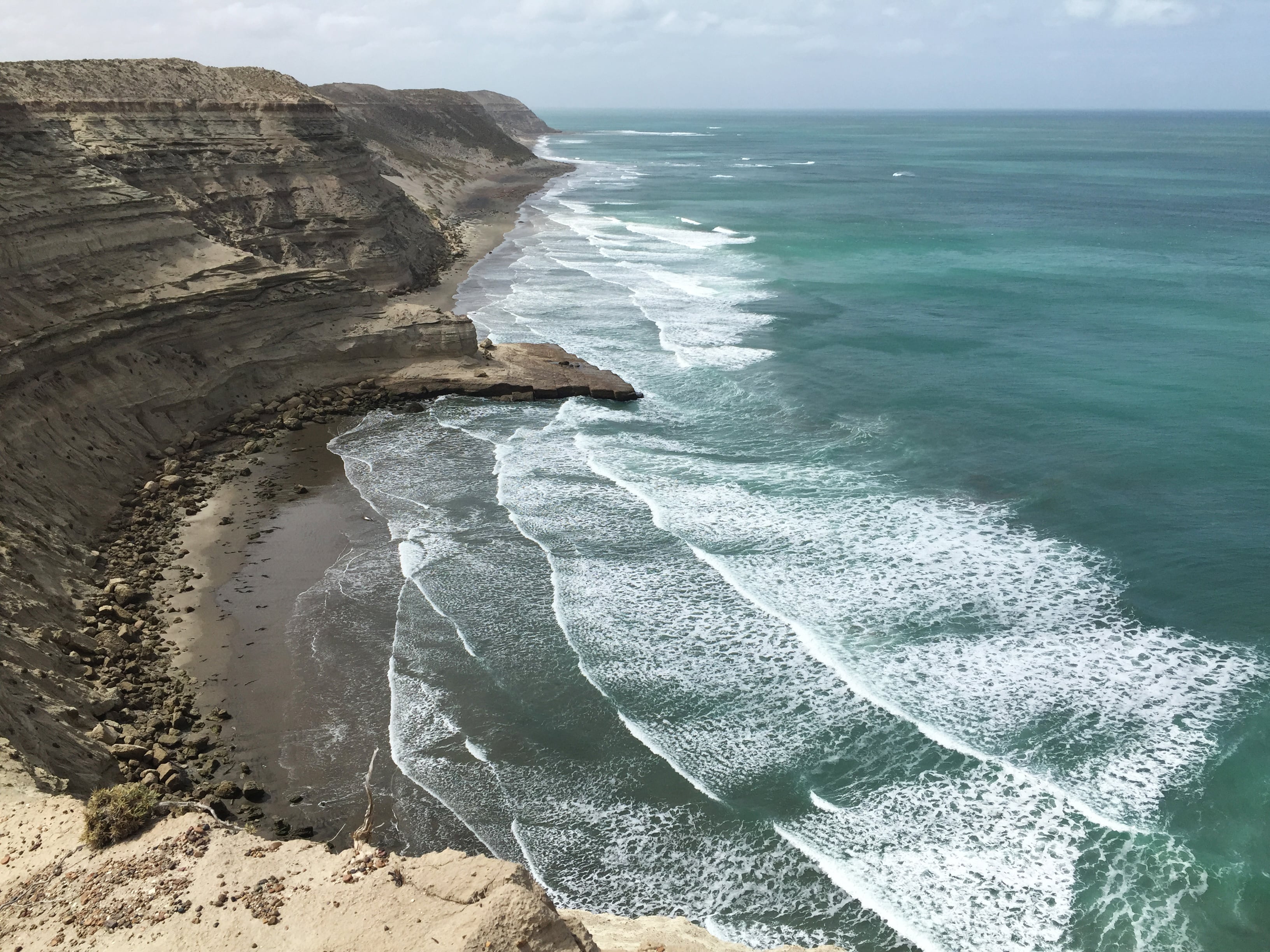 El mar argentino es único en el mundo por su biodiversidad (Foto: Valeria Falabella)