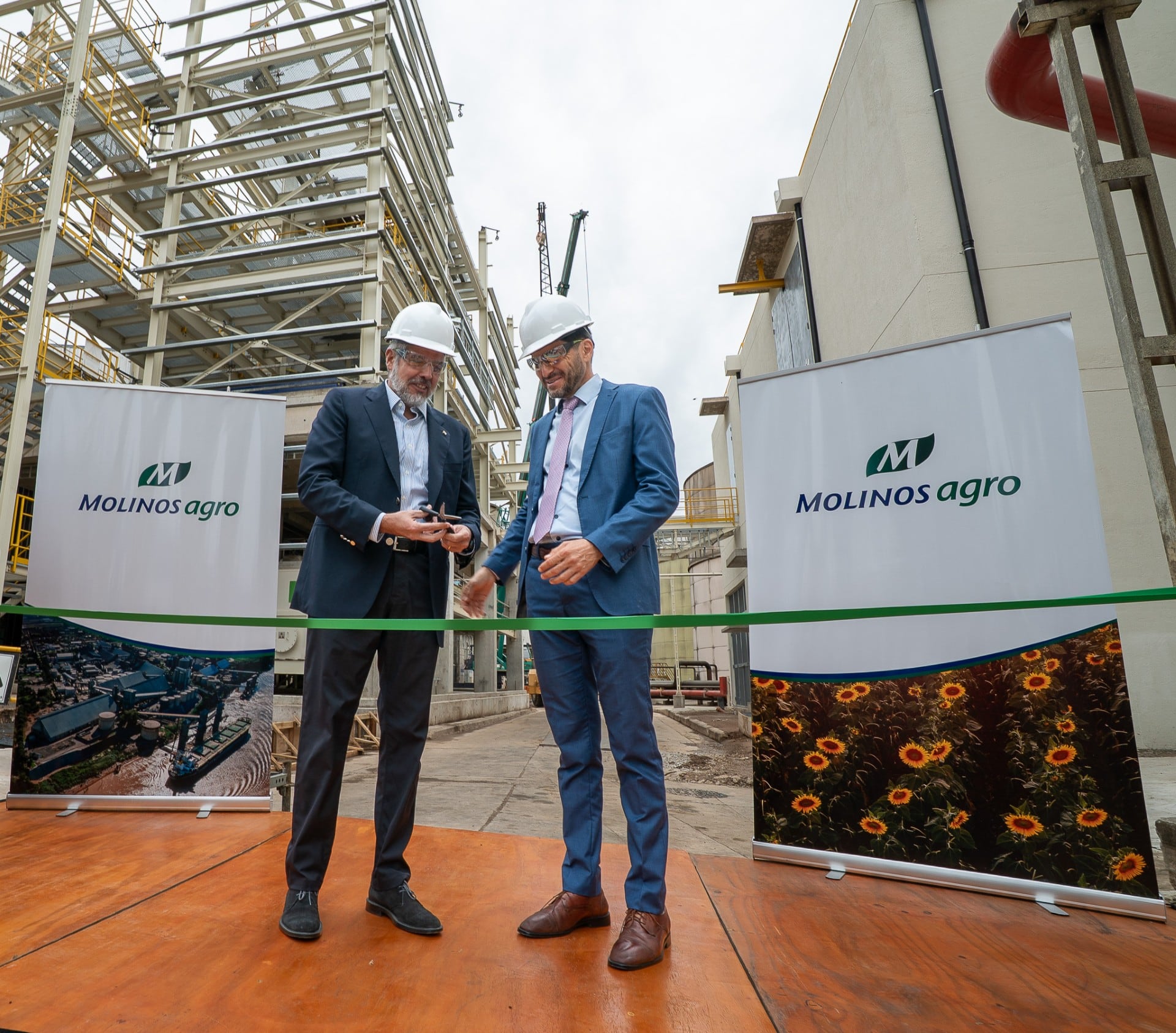 Inversión de US$12 millones: Molinos Agro amplió su molienda de girasol