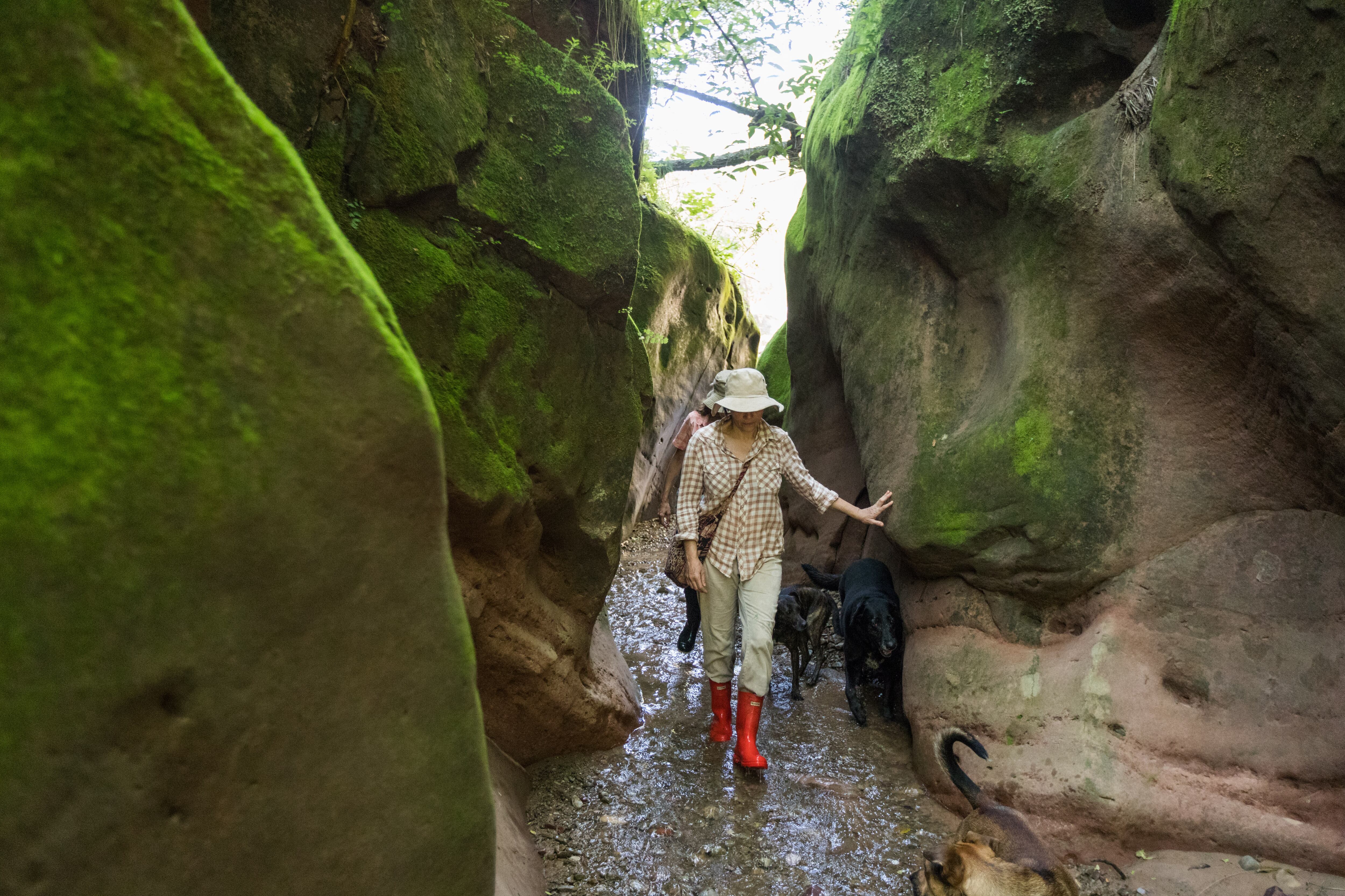 JUJUY VERDE, ALDEA LUNA, TREKKING A LOS MANZANOS