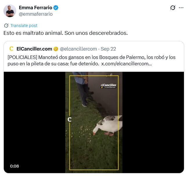Emmanuel Ferrario sobre el robo de gansos en Palermo (X: @emmaferrario)