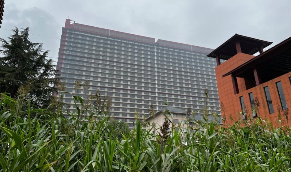 El rascacielos de Ezhou, provincia de Hubei, criadero de 650.000 cerdos.