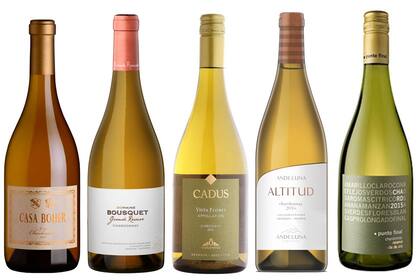 Cinco etiquetas para disfrutar de un buen Chardonnay