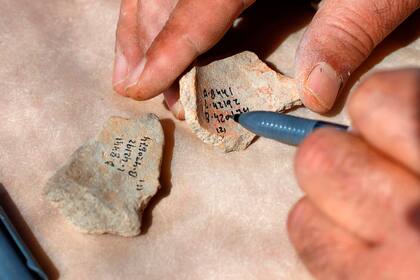 Cuatro millones de fragmentos de cerámica, herramientas de sílex y jarrones de piedra y basalto, parte de los cuales procedían de Egipto