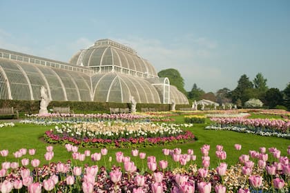 50.000 plantas se combinan con una arquitectura imponente en los diversos invernaderos y edificios de los Royal Botanic Gardens.