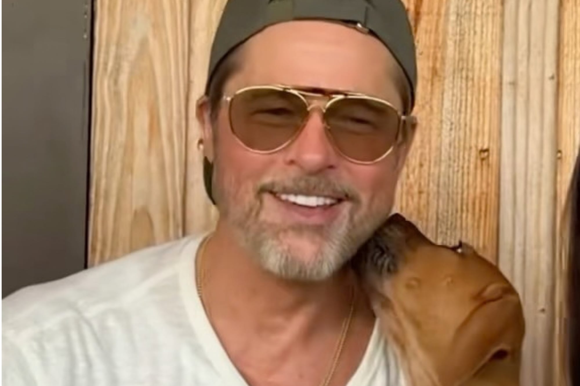 Brad Pitt, actor: “La vida es mejor con un perro, no importa lo mal que te haya ido en el día, entrás por la puerta y ahí está, moviendo la cola, tan feliz de verte”