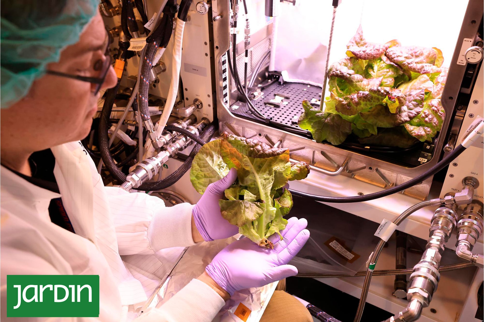 Las plantas del futuro: De los laboratorios espaciales a las granjas subterráneas