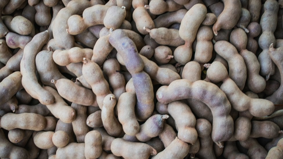 La pulpa del tamarindo es una buena fuente de energía, ideal para consumir en el desayuno