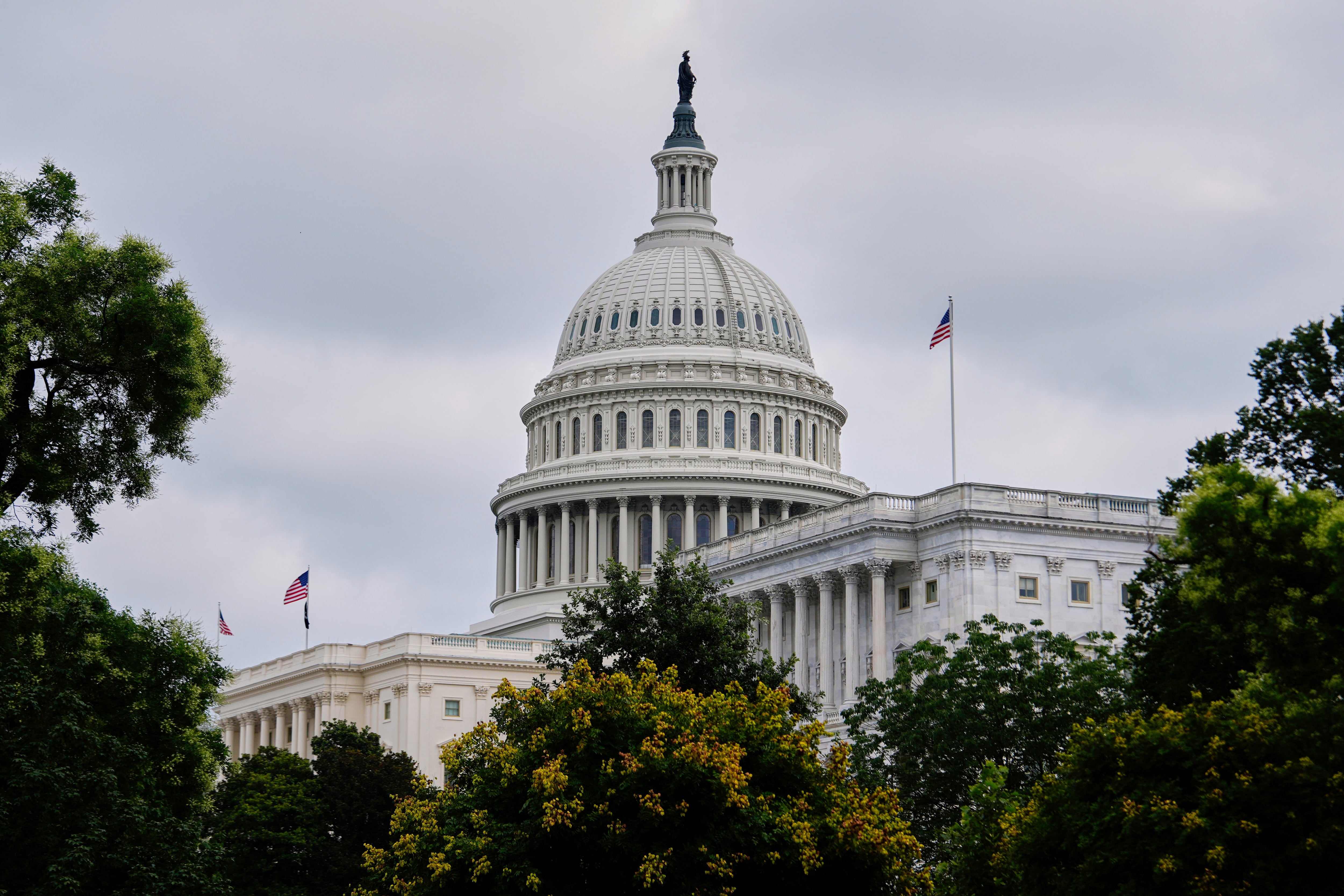 Demócratas y republicanos buscan el control del Congreso en las elecciones de medio término