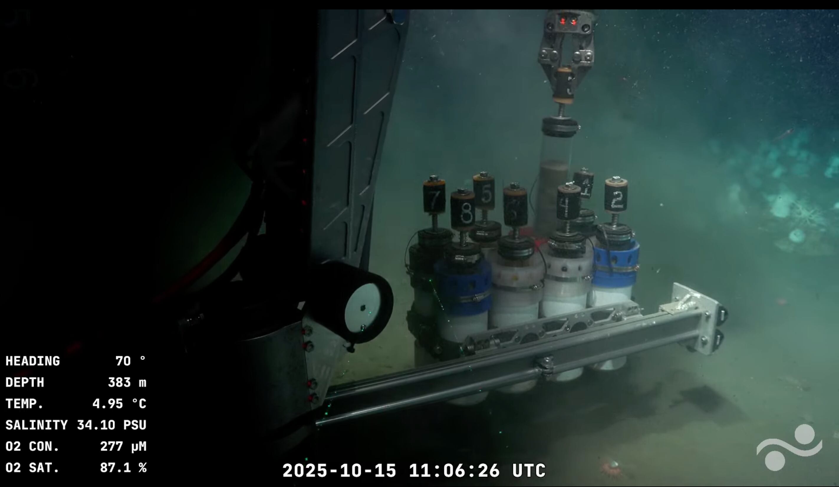 La misión anterior del Schmidt Ocean Institute cautivó a millones de personas y reveló más de 40 especies nuevas en el mar Argentino