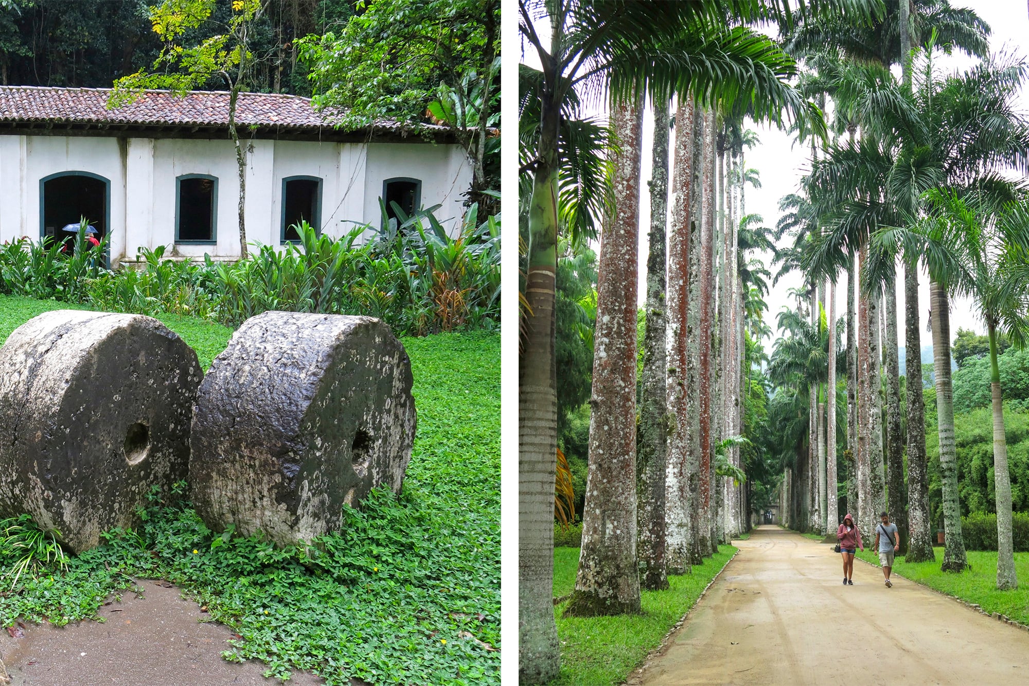 A la izquierda, Casa dos Piloes, un sitio arqueológico dentro del Jardín Botánico de Río de Janeiro. A la derecha, la Avenida de las Palmeras Imperiales, marca registrada del Jardín