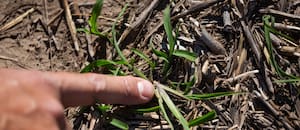La clave frente a la lucha contra el aumento de las malezas resistentes