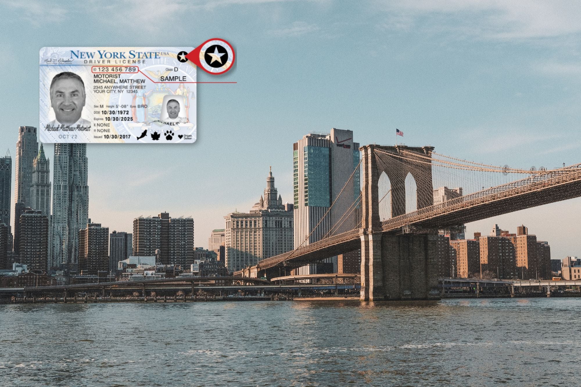 El objetivo primordial de la ley es eliminar el requisito o la facultad de suspender licencias (de conducir, profesionales y recreativas)