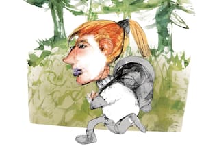 Más allá de la heliopausa