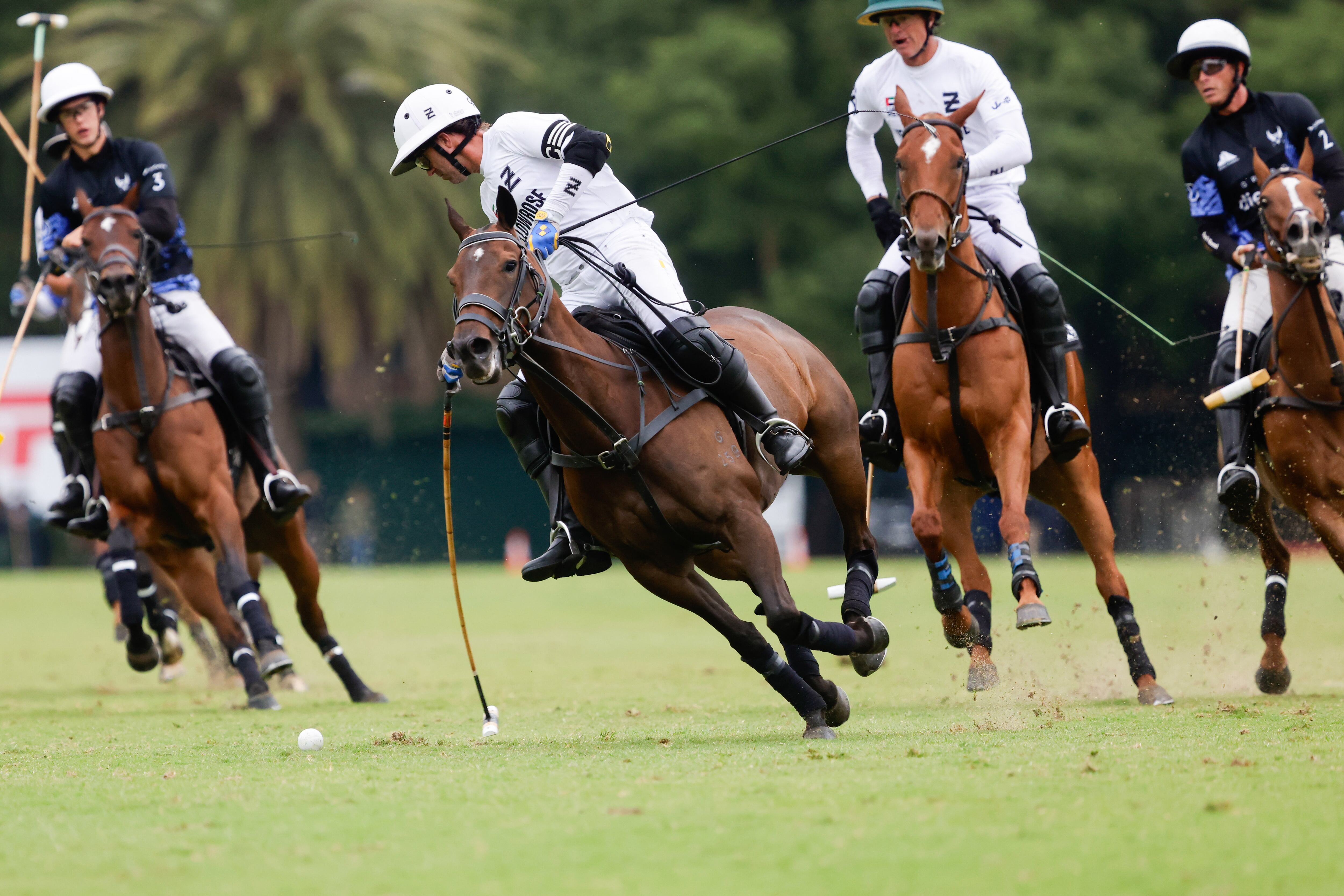 Triple corona de polo, abierto de Palermo. la ellerstina yellowrose vs la ensenada