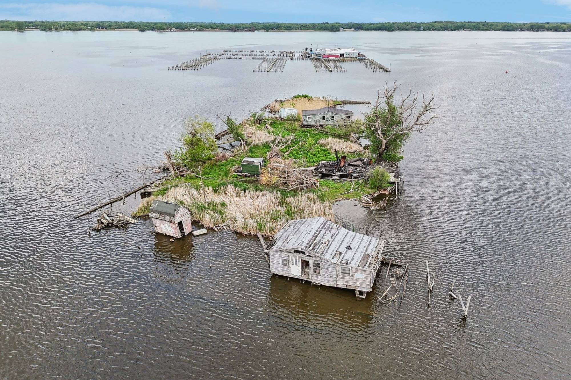La isla de Illinois en la Cadena de Lagos que está a la venta por menos de US$200 mil: “Oportunidad única”