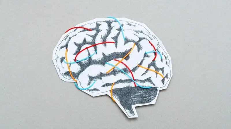 La práctica habitual de la lectura estimula la neuroplasticidad cerebral.