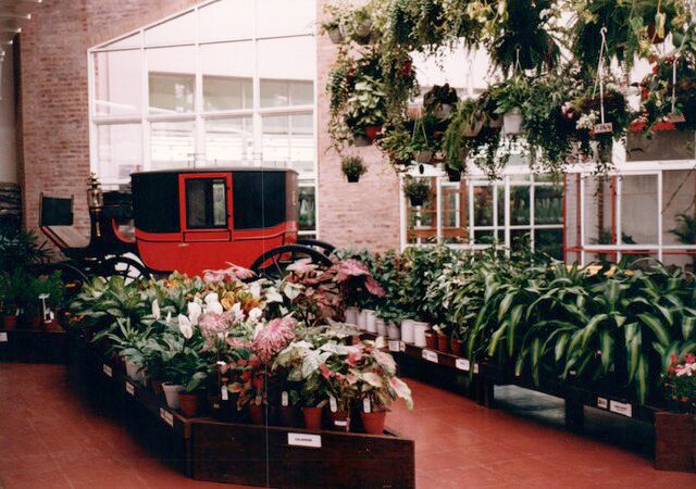 El vivero Alparamis ofrecía plantas nativas del Gran Chaco en una casona de Olivos, Buenos Aires