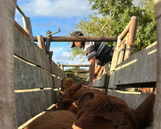 “La sanidad no es un costo, es una inversión, y un seguro, y cuando baja la cobertura, el problema se transforma en sistémico”, subrayaron