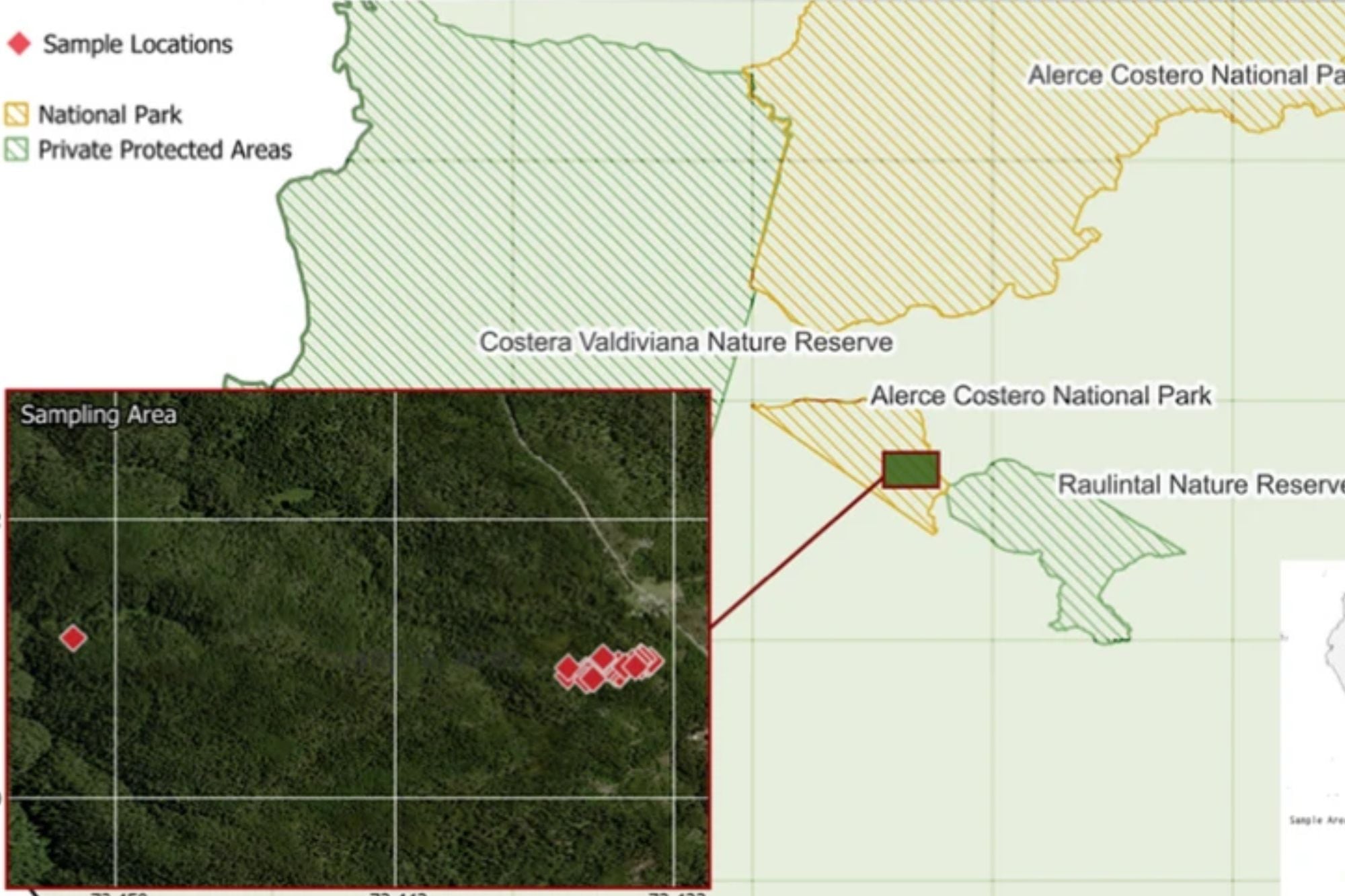 El área de las muestras para el estudio realizado en el Parque Nacional Alerce Costero, Chile