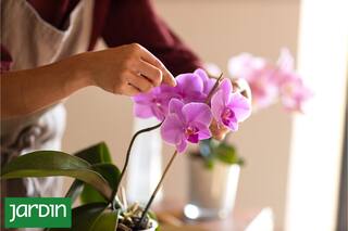 Si seguís estos seis simples consejos vas a poder disfrutarla por mucho tiempo