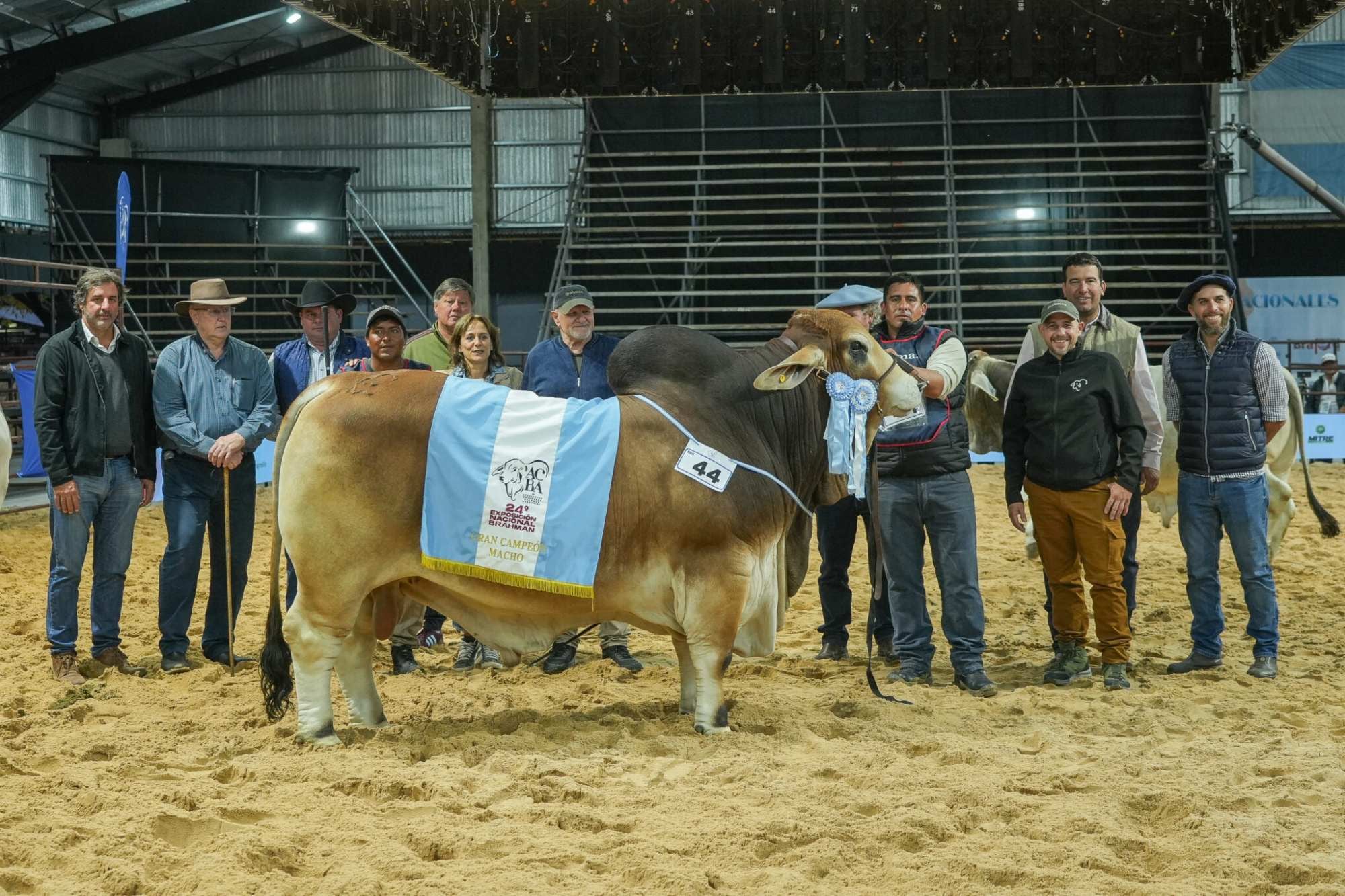Los Brahman picaron en punta y consagraron a los primeros Grandes Campeones de las Nacionales 2026