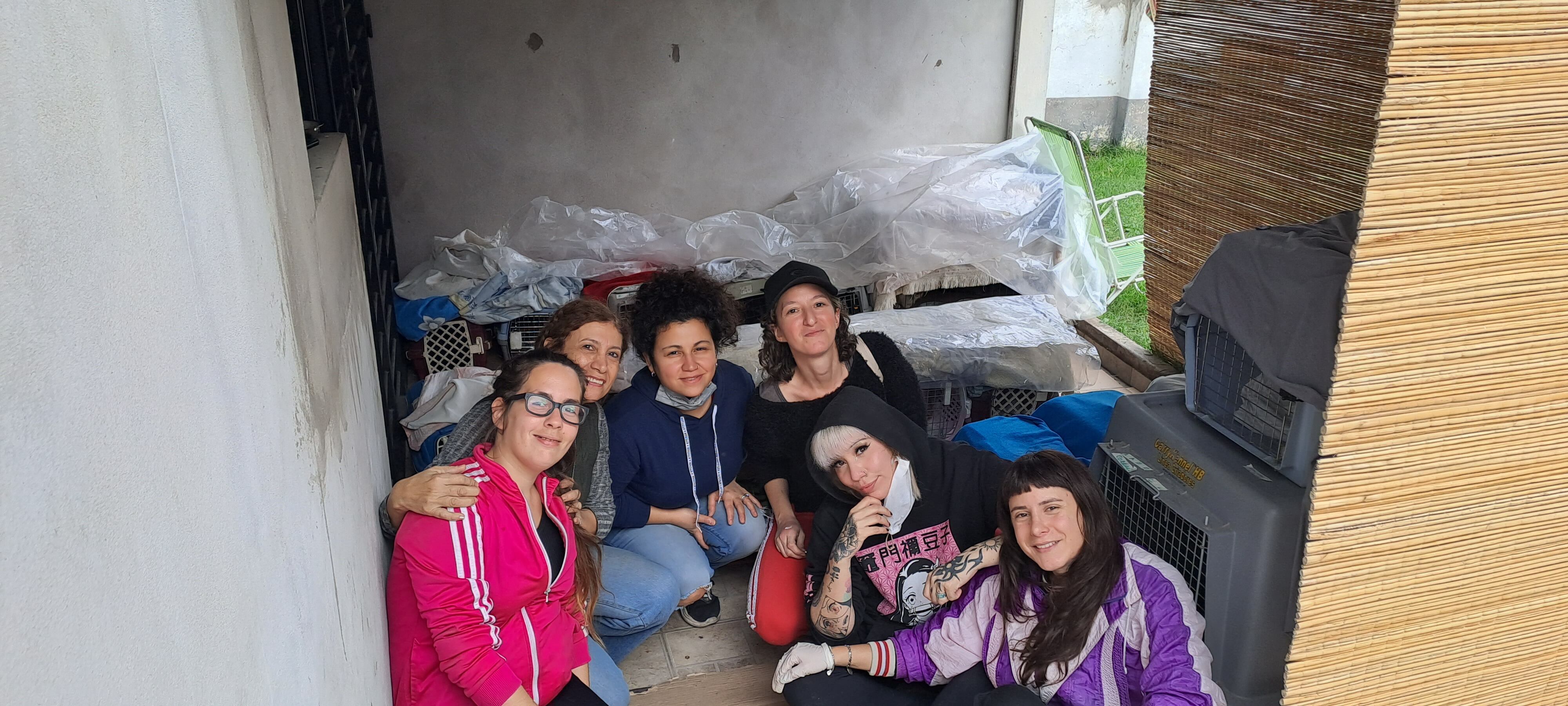 Vecinas unidas por el compromiso con las vidas de los gatos: Sabrina Quiñones, Agostina Zacco, Mirta Grosso, Florencia Gago, Agustina Prato y Rocío Falcone.