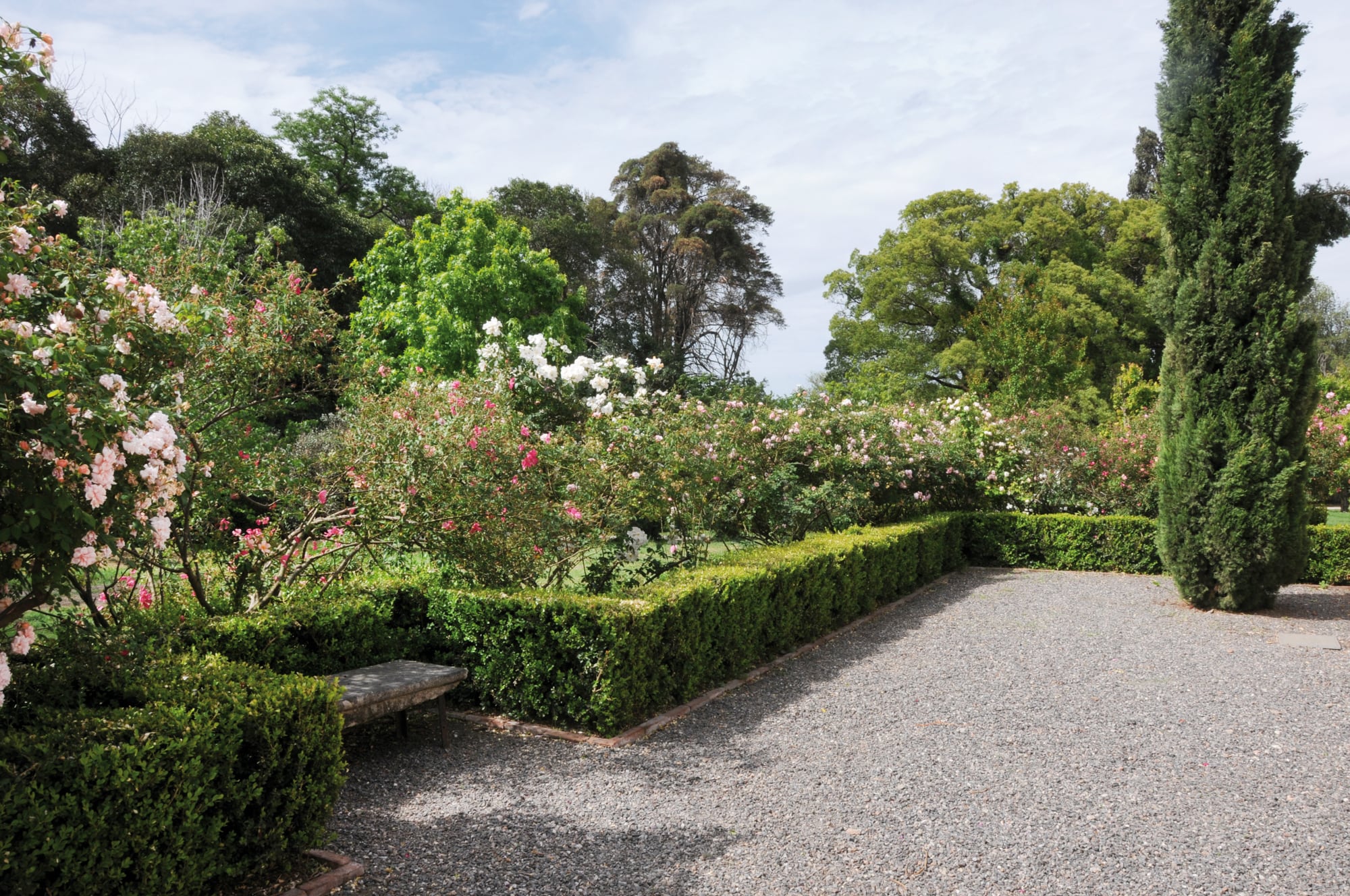 El jardín de la casa se enmarcó con cipreses piramidales ejemplares, solado de granza y bancos de piedra recuperados. Atrás se ve la rosa china ‘Mutabilis’, la rosa polyantha ‘Perle d’Or’ y la rosa té ‘Général Galliéni’