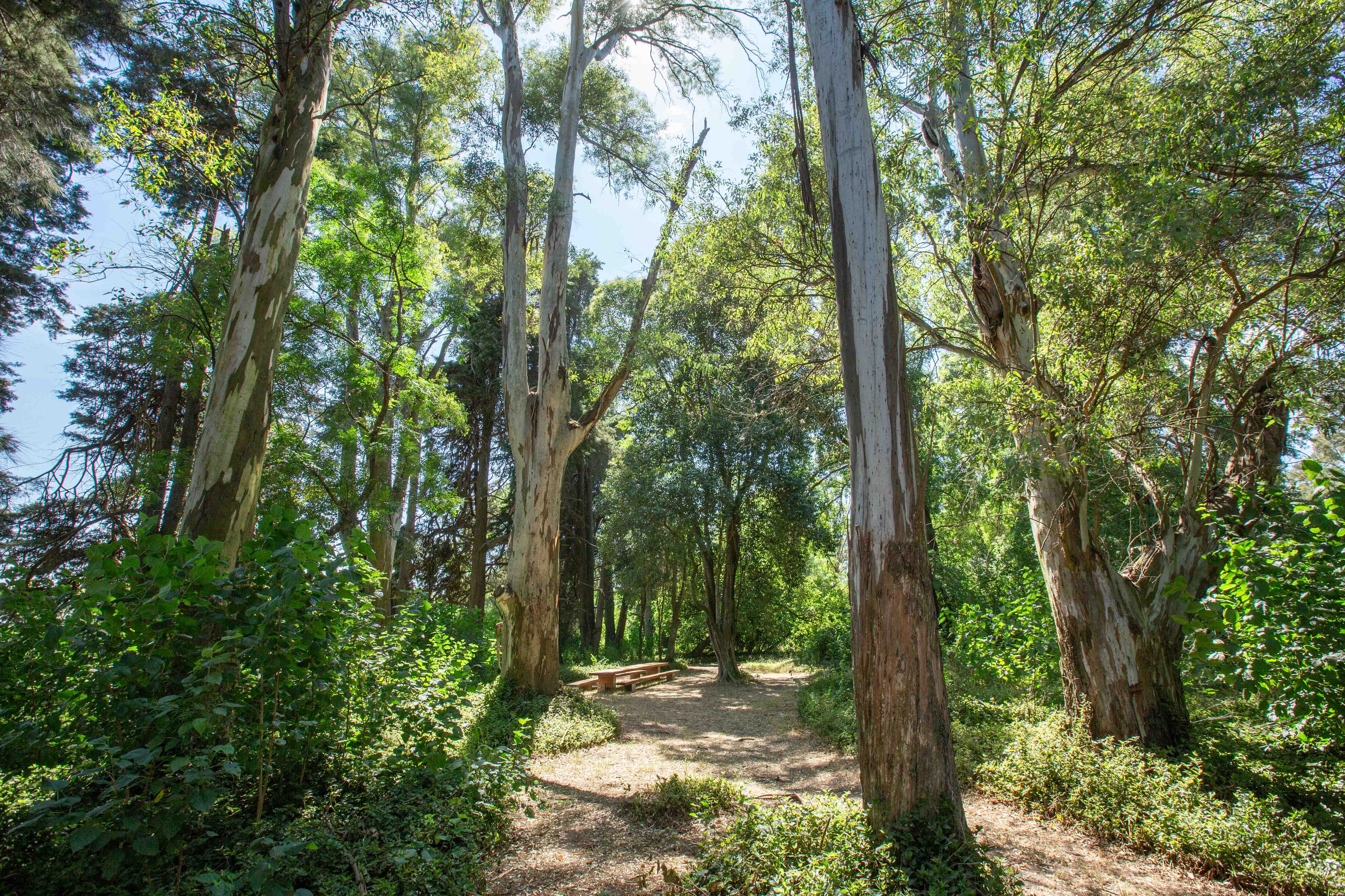 Para pasar un día de campo en La Comarca, es necesario reservar con antelación