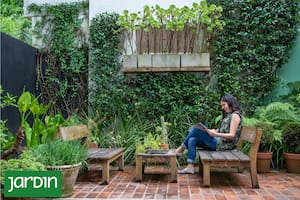Trucos infalibles de paisajistas para decorar con plantas los espacios pequeños
