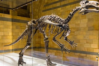 Londres: planes accesibles para hacer con chicos