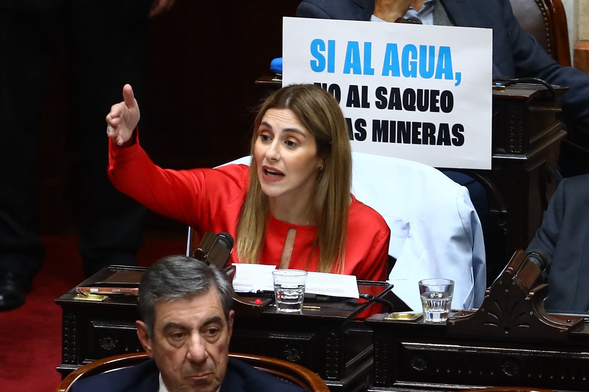 La diputada Marcela Pagano también denunció a tuiteros libertarios