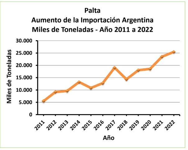 Desde el 2011, el consumo de palta hass no para de crecer en la Argentina. Este es el dato de las importaciones, que explican hoy el 92% de lo que se consume, dicen en Nukor