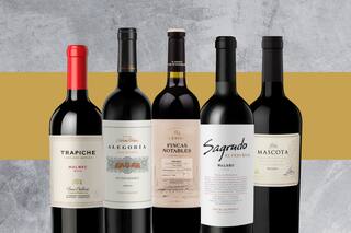 Malbec y cocina: las mejores combinaciones para disfrutar en casa