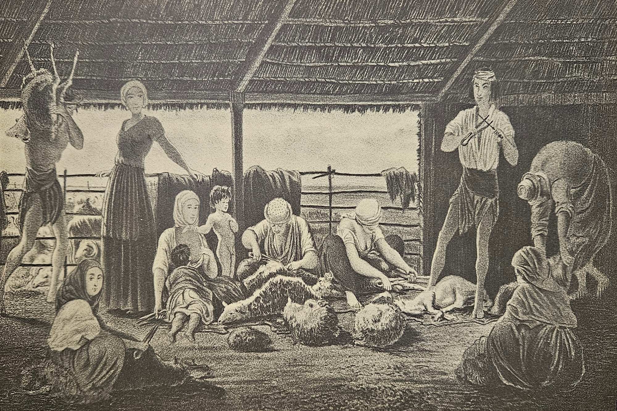 Las mujeres esquiladoras que sorprendían con su destreza y velocidad