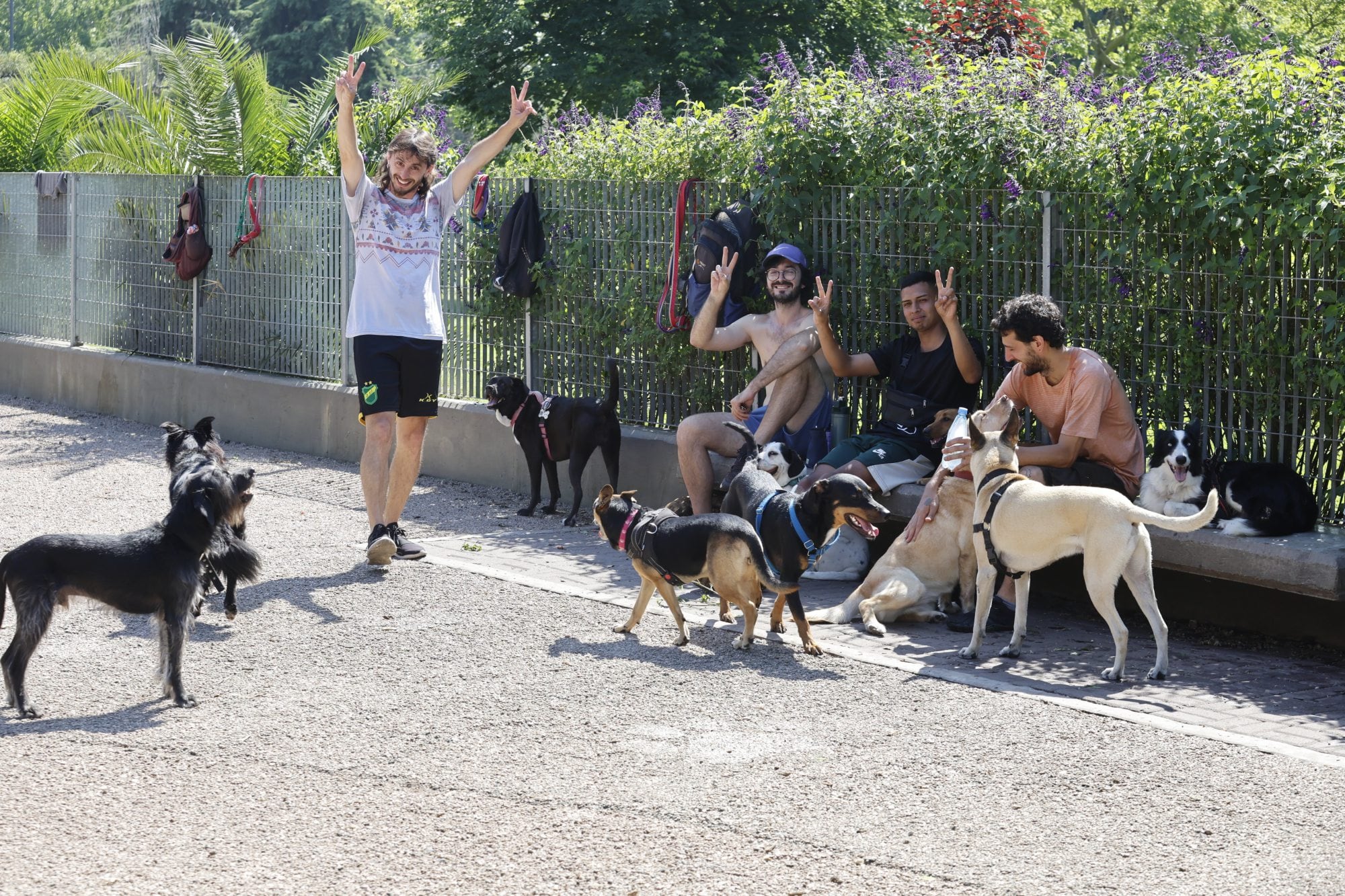 Juntada de amigos paseadores y perros en su recorrido por una plaza